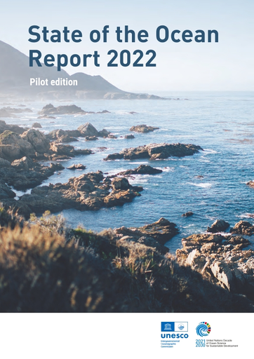 State of the ocean report 2022: pilot edition